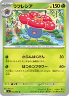 ラフレシア U 003/080