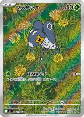 マメバッタ AR 082/080