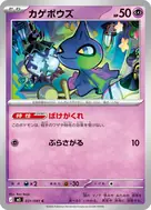 カゲボウズ C 031/081