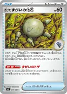 古びたずがいの化石 C 071/081