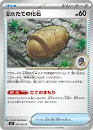 古びたたての化石 C 072/081