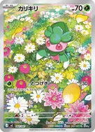 カリキリ AR 082/081