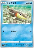 サシカマス C 025/070