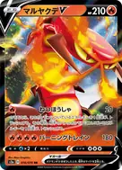 マルヤクデV RR 016/070