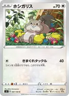 ホシガリス C 087/100