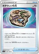 めずらしい化石 C 091/100