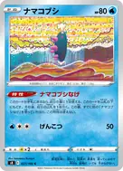 ナマコブシ C 027/100