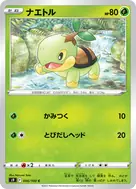 ナエトル C 006/100