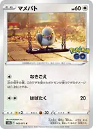 マメパト C 062/071