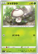 タマゲタケ C 008/100