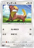 ヤングース C 049/060