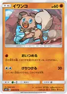 イワンコ C 026/050