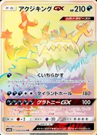 アクジキングGX HR 058/050