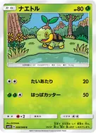 ナエトル C 006/066