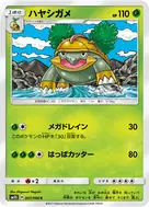 ハヤシガメ C 007/066