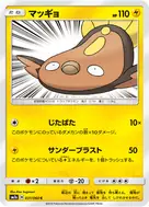 マッギョ C 031/060