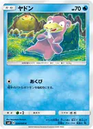ヤドン C 024/095
