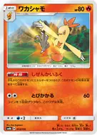 Combusken - 013/150