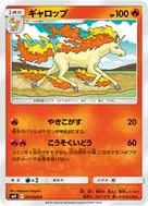 ギャロップ C 017/095
