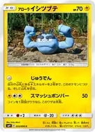アローライシツブテ C 033/095