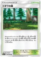 トキワの森 U 091/095