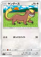 ヤングース C 077/094
