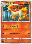 ギャロップ C 010/064