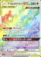 アーゴヨン＆アクジキングGX HR 113/095