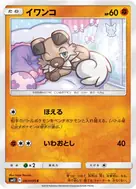イワンコ C 047/095