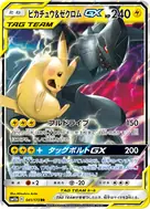 Pikachu & Zekrom-GX RR 041/173