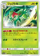 Grovyle - 009/173