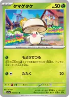 タマゲタケ C 002/073
