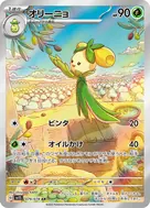 オリーニョ AR 079/078