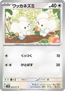 ワッカネズミ C 063/071