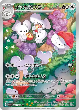 イッカネズミ AR 081/071