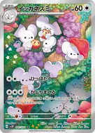 イッカネズミ AR 081/071