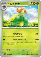 キレイハナ U 003/108