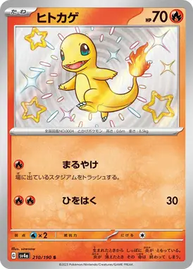 ヒトカゲ S 210/190