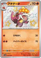 アチゲータ S 216/190