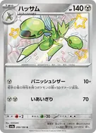 ハッサム S 299/190