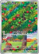カジッチュ AR 077/066