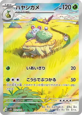 ハヤシガメ AR 072/071