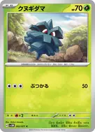 クヌギダマ C 002/071