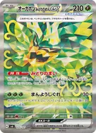 オーガポンみどりのめんex SAR 125/101