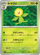 キマワリ U 002/101