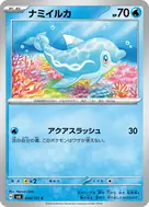 ナミイルカ C 034/101