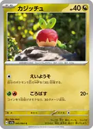 カジッチュ C 045/064