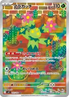 マラカッチ AR 101/100