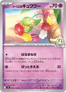 リーリエのキュワワー C 043/100