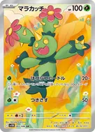 マラカッチ AR 093/086